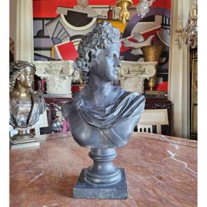 Bust Of Apollo Belvedere In Patinated Metal, 19th Century