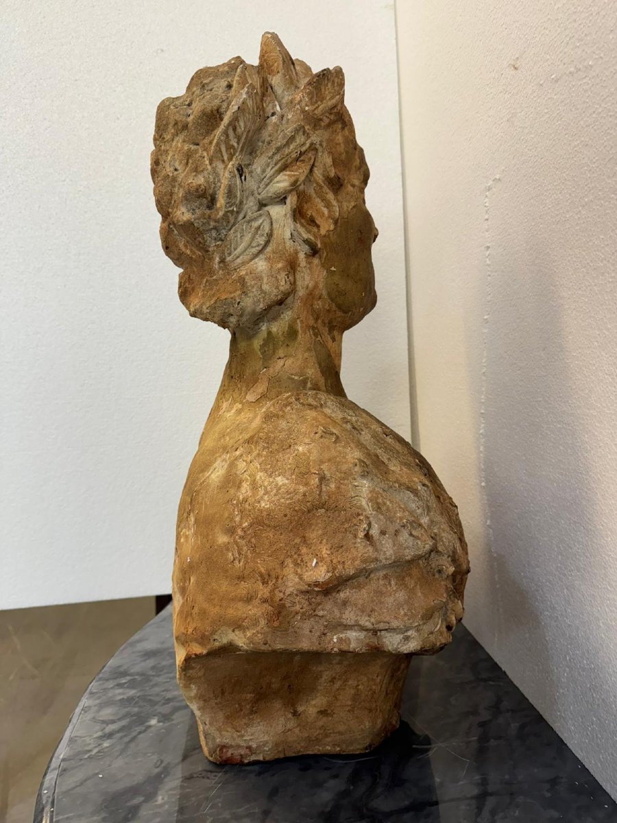 Busto di Imperatore Romano in Terracotta Patinata-photo-6