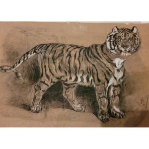 G Le Berton Lion Drawing 19 Eme