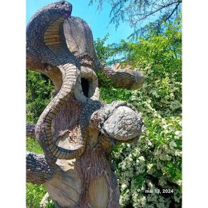 Surpenant! Insolite! arbre au cobra cabinet de curiosité serpent zoologie symbolique