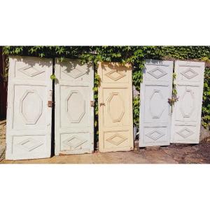 Set Of 5 Double-sided Resinous Doors, Early 19th Century Woodwork