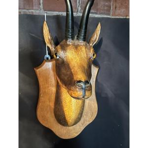Chamois Head In Carved Wood