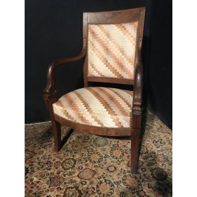 Dolphin Head Armchair