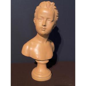 Bust Of Young Boy In Terracotta