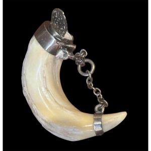 19th Century Scented Wild Boar Horn 