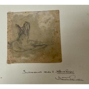 Dog Study In Pencil Attributed To Alberto Pasini (1826-1899) - Signed Lower Left