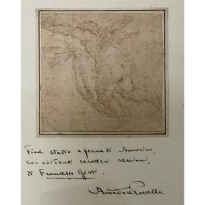 Study Of Cupid - Feather - Italian School Circa 1700 - Size 12 X 12cm