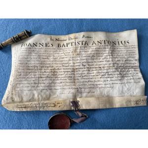  Grasse Diploma "licentiatus" Of Medicine From October 25, 1736 18th 