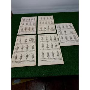 Military Art Plates From 1 To 5 Taken From The Diderot / d'Alembert Encyclopedia Paris 1751 