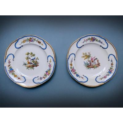 Sèvres - Pair Of Hard Porcelain Plates Twentieth Century