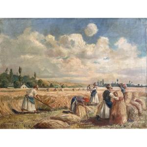 The Harvest 