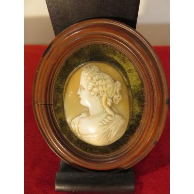 Came To Hang, Presented In A Wooden Medallion, XIXth