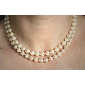 Akoya Cultured Pearl Necklace, 7.8 Mm - Clasp + Gold Safety Chain