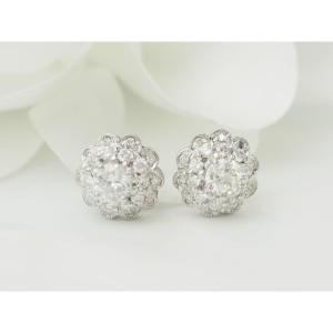 White Gold And Diamond Stud Earrings