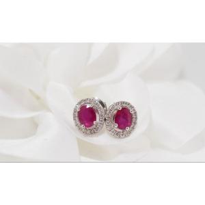 White Gold, Ruby And Diamond Earrings
