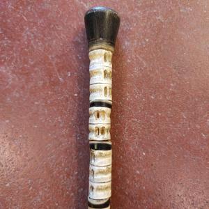 Canes In Cetacean Bones