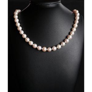 Collier De Perles De Culture Choker  Diamètre 8 - 8,5 mm.