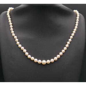 Cultured Pearl Necklace, Clasp And Safety Chain, 18k Gold.