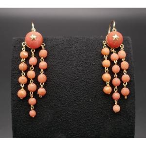 Antique Coral Sleeper Earrings, 18 Carat Gold.