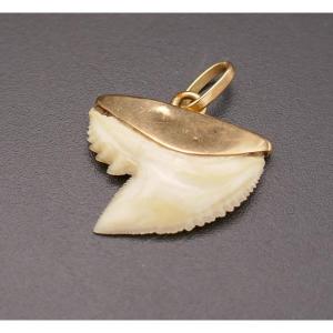 Lucky Shark Tooth Pendant, 18-carat Gold.
