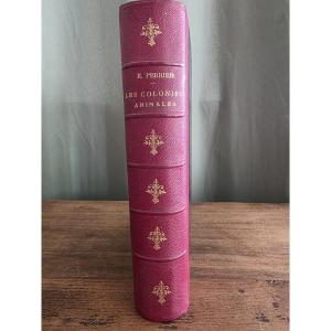 Animal Colonies And The Formation Of Organisms. E. Perrier. 1881.