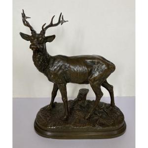 Alfred Dubucand, Deer