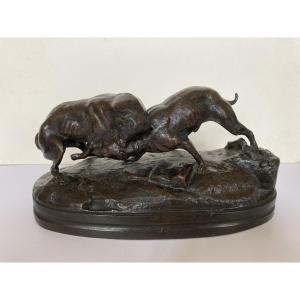 Victor Chemin, Fox
