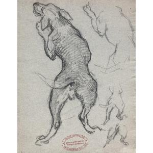 Paul Tavernier, Hunting Dog