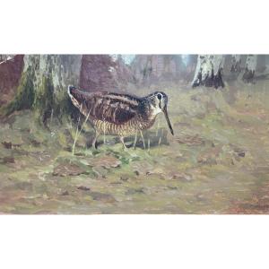 Paul Marueyz, Woodcock