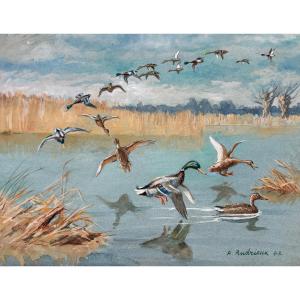 Alfred Andrieux, Canards