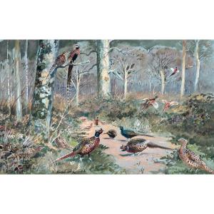 Alfred Andrieux, Pheasants