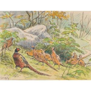 Georges Frederic Rotig, Pheasants