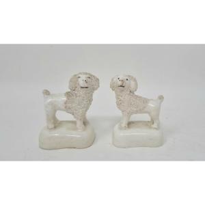 Staffordshire Poodles