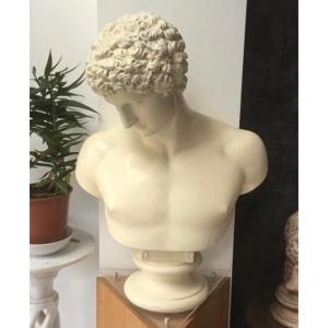 Antinous, D Brucciani