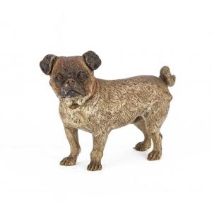 Austrian Bronze Pug