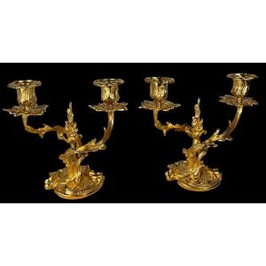 Pair Of Louis XV Rocaille Style Gilt Bronze Candlesticks, Circa 1900