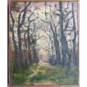 Bois De Marcy The Star - Lyon - Marcel Chabas