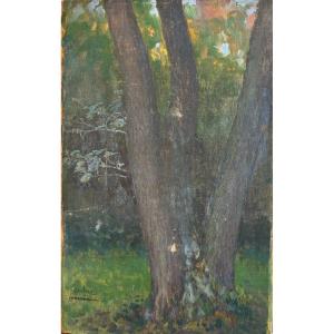 Jules Octave Triquet (paris 1867-1914), Study Of Tree: Alder, Oil