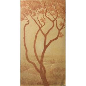 André Morisset (born 1876), Study Of Pine, Drawing, Symbolism