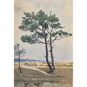 André Morisset (1876-1954), Pine Tree By The Sea, Watercolor Drawing