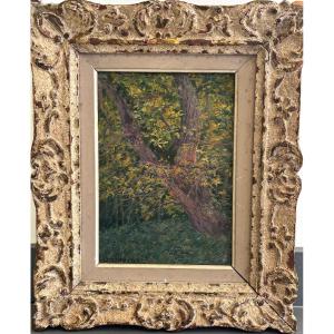 Léon Giran-max (1867-1927), Study Of A Tree, Oil On Canvas