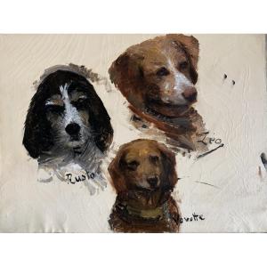 French School, Circa 1900, Portraits/study Of Dogs' Heads, Oil On Canvas