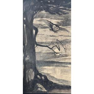 French School, Early 20th Century, The Owl, Ink And Watercolor Drawing