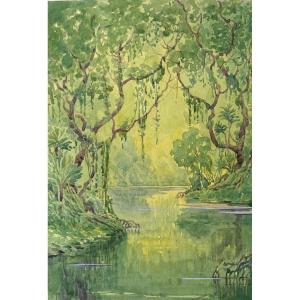 André Morisset (1876-1954), The Mangrove Or Tropical Forest, Drawing, Watercolor