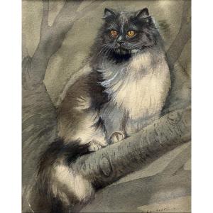 Attributed To Albert-antoine Lambert (1854-1925), Portrait De Chat Persan, Watercolor, Drawing