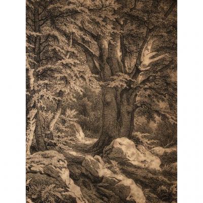 Nineteenth French School, Trees In The Forest Of Fontainebleau, Ink Drawing