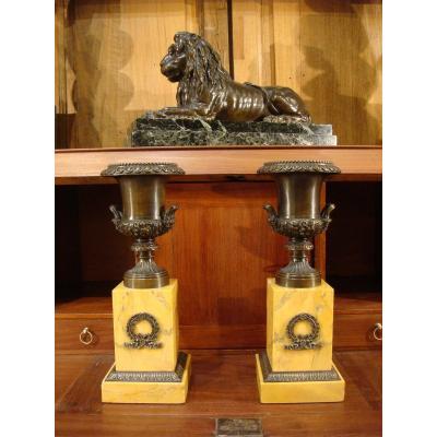 Pair Of Bronze Casseroles With Medici Vases