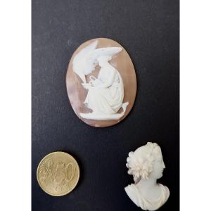 2 19th Century Cameos On Shell