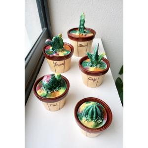 Set Of 5 Rare Vintage "cactus" Spice Jars, 1950s/1960s, Very Good Condition