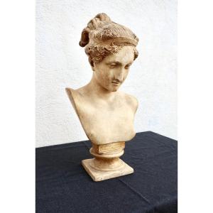 After Antonio Canova, Antique Bust In Plaster, "hebe", Late 19th-early 20th Century, 60 Cm, Very Good Condition